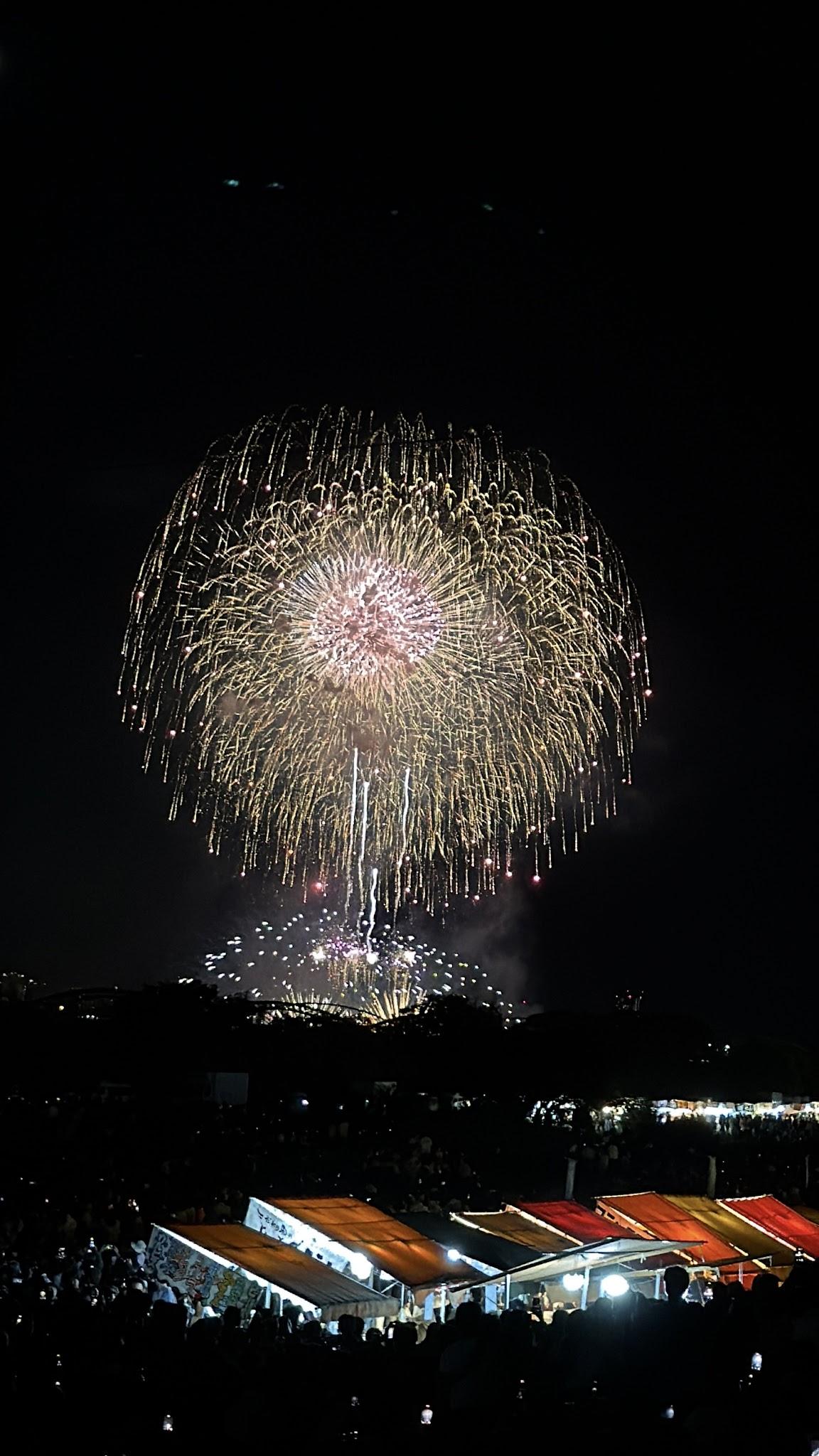 金色與粉色的大型煙火在淀川上空層層落下